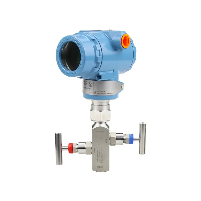 in line pressure transmitter with two manifold