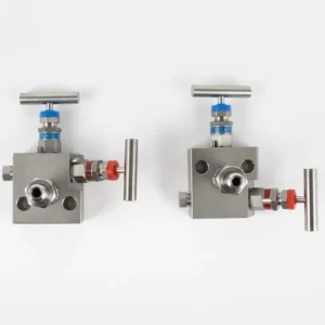2 Valve Differential Pressure Manifold