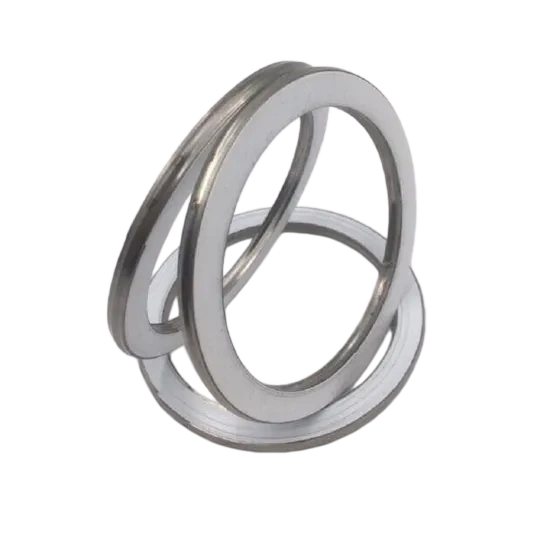 304 Spiral Wound Gasket