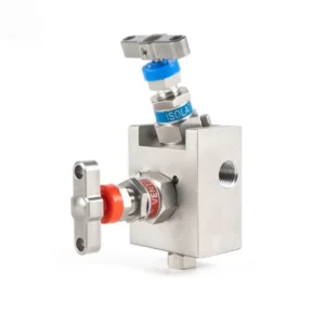 Angle Type Two Valve Manifold