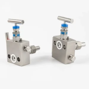 Differential Pressure Two Valve Manifold Supplier