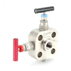 Instrument 2 Valve Single Block and Bleed Manifold