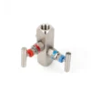 L Type Two Valve Manifold