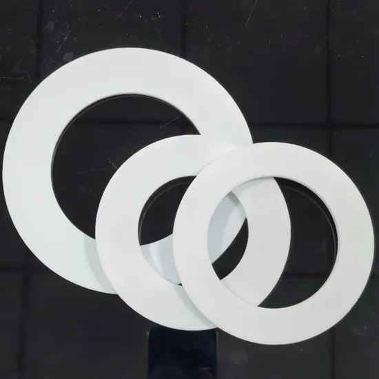 PTFE Sealing Gasket