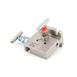 T Type Two Valve Manifold