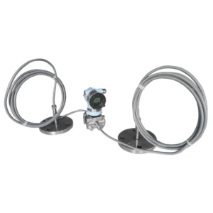 Tiankang Dual Flange Differential Pressure Level Transmitter
